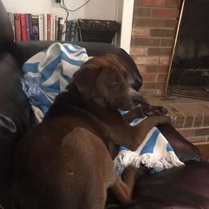 Meet your Posher, Kristin